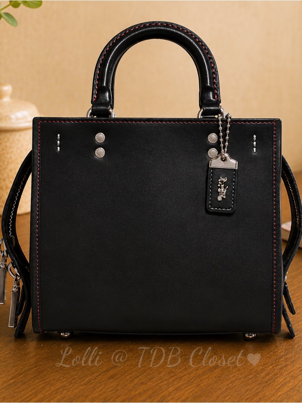 COACH ROUGE 20
